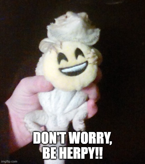 DON'T WORRY, BE HERPY!! | image tagged in herp,happy,dragon,funny | made w/ Imgflip meme maker