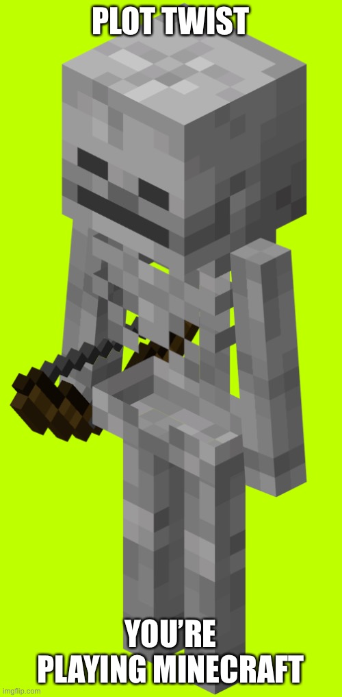 Skeleton with a bow | PLOT TWIST YOU’RE PLAYING MINECRAFT | image tagged in skeleton with a bow | made w/ Imgflip meme maker