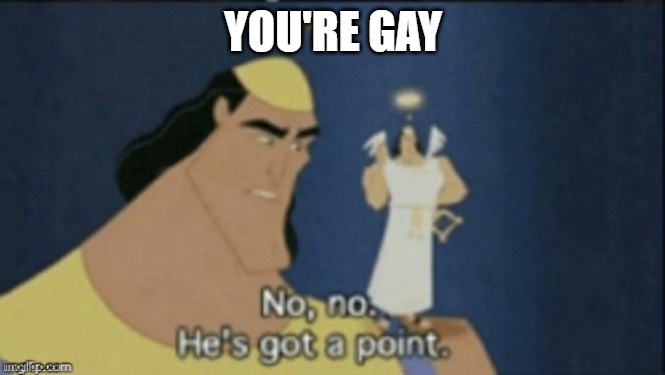 no no hes got a point | YOU'RE GAY | image tagged in no no hes got a point | made w/ Imgflip meme maker