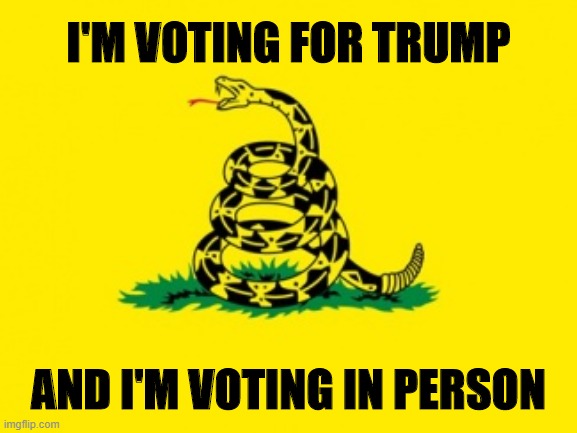 Don't Tread On Me, Leftist Loons | I'M VOTING FOR TRUMP; AND I'M VOTING IN PERSON | image tagged in gadsden flag,2020 elections,donald trump | made w/ Imgflip meme maker