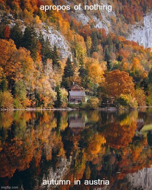 we don't have to be so serious all the time. motion to make this lakeside cabin the autumnal presidential retreat | apropos of nothing; autumn in austria | image tagged in autumn in austria,autumn,autumn leaves,austria,cabin fever,lake | made w/ Imgflip meme maker