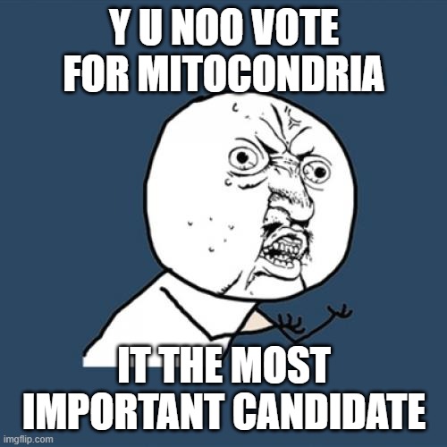 hi | Y U NOO VOTE FOR MITOCONDRIA; IT THE MOST IMPORTANT CANDIDATE | image tagged in memes,y u no | made w/ Imgflip meme maker