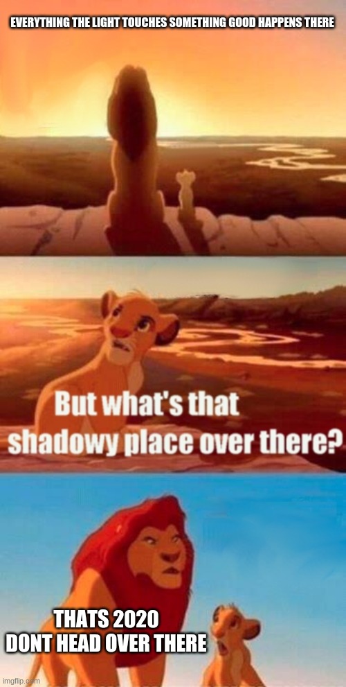 Simba Shadowy Place Meme | EVERYTHING THE LIGHT TOUCHES SOMETHING GOOD HAPPENS THERE; THATS 2020 DONT HEAD OVER THERE | image tagged in memes,simba shadowy place | made w/ Imgflip meme maker