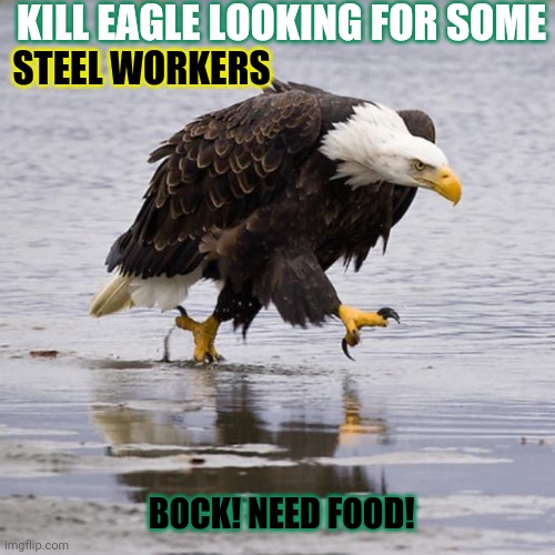 Angry Eagle | KILL EAGLE LOOKING FOR SOME BOCK! NEED FOOD! STEEL WORKERS | image tagged in angry eagle | made w/ Imgflip meme maker