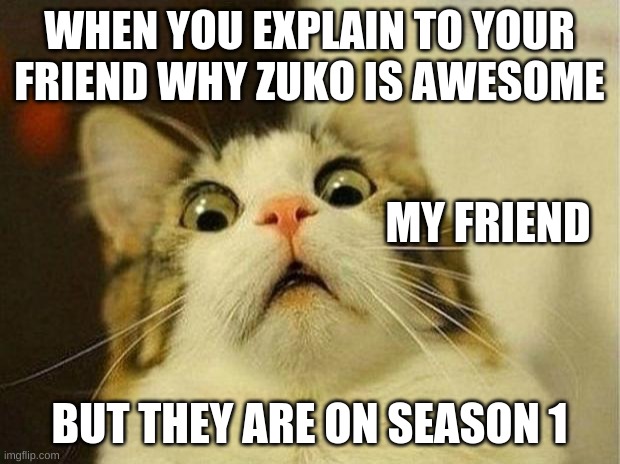 Atla zuko's redemption | WHEN YOU EXPLAIN TO YOUR FRIEND WHY ZUKO IS AWESOME; MY FRIEND; BUT THEY ARE ON SEASON 1 | image tagged in memes,scared cat | made w/ Imgflip meme maker