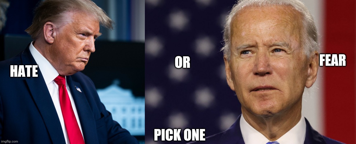 Choices | image tagged in election 2020 | made w/ Imgflip meme maker