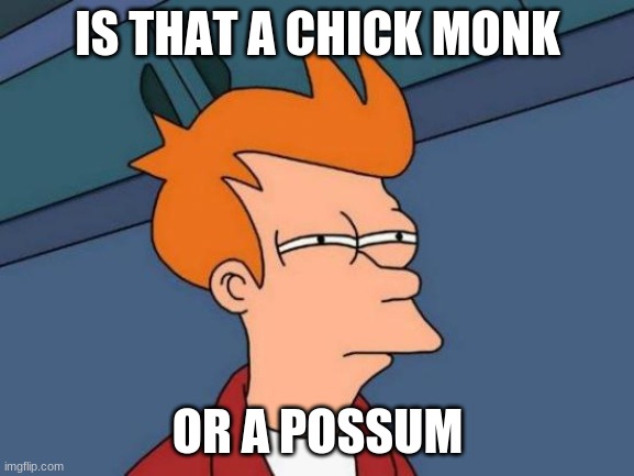 when you can't tell the difrence between two | IS THAT A CHICK MONK; OR A POSSUM | image tagged in memes,futurama fry | made w/ Imgflip meme maker