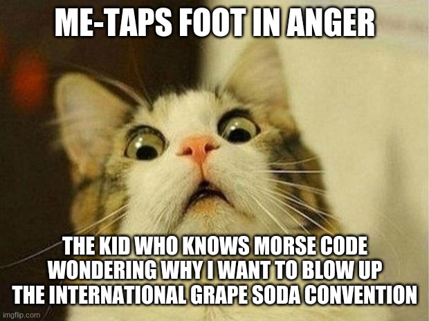 Morse Code | ME-TAPS FOOT IN ANGER; THE KID WHO KNOWS MORSE CODE WONDERING WHY I WANT TO BLOW UP THE INTERNATIONAL GRAPE SODA CONVENTION | image tagged in memes,scared cat,morse code | made w/ Imgflip meme maker