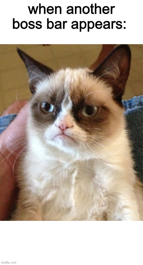 Grumpy Cat Meme | when another boss bar appears: | image tagged in memes,grumpy cat | made w/ Imgflip meme maker