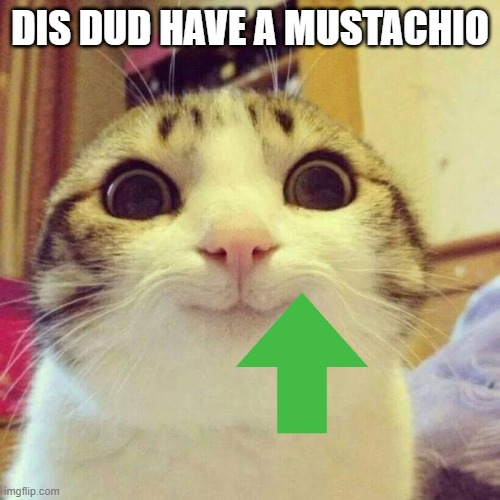 Smiling Cat Meme | DIS DUD HAVE A MUSTACHIO | image tagged in memes,smiling cat | made w/ Imgflip meme maker