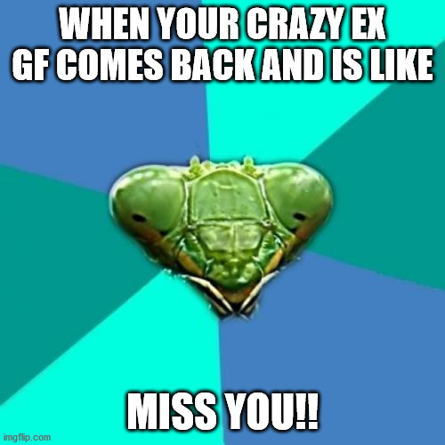 The death of you |  WHEN YOUR CRAZY EX GF COMES BACK AND IS LIKE; MISS YOU!! | image tagged in memes,crazy girlfriend praying mantis | made w/ Imgflip meme maker