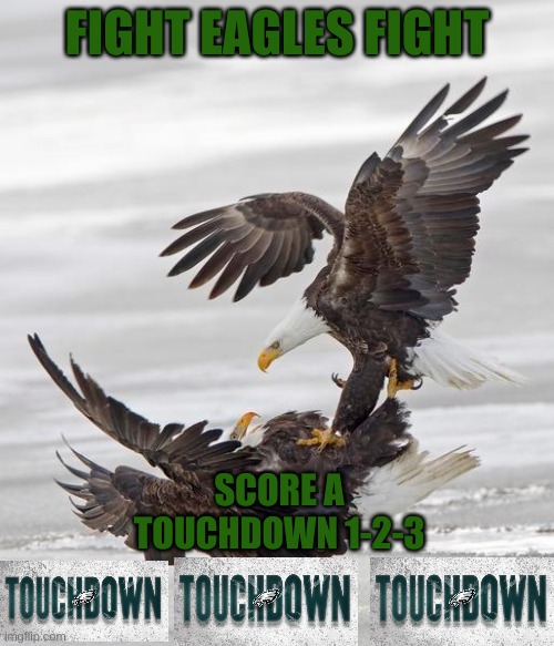 fight eagles fight, score a touchdown 1-2-3 | FIGHT EAGLES FIGHT; SCORE A TOUCHDOWN 1-2-3 | made w/ Imgflip meme maker