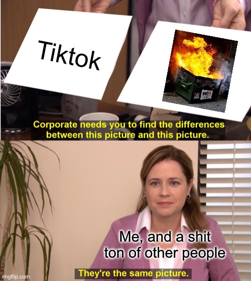 They're The Same Picture | Tiktok; Me, and a shit ton of other people | image tagged in memes,they're the same picture | made w/ Imgflip meme maker