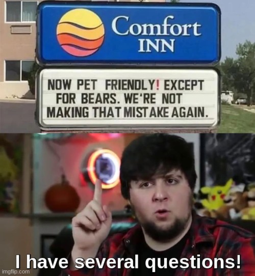 who would bring a bear in!? | image tagged in funny,memes | made w/ Imgflip meme maker