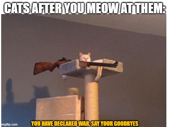 Don't mess with the kitty overlord - Imgflip