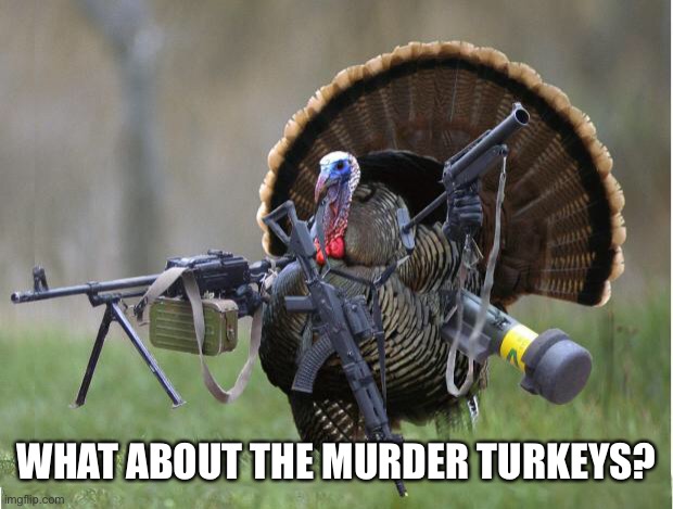 turkey | WHAT ABOUT THE MURDER TURKEYS? | image tagged in turkey | made w/ Imgflip meme maker