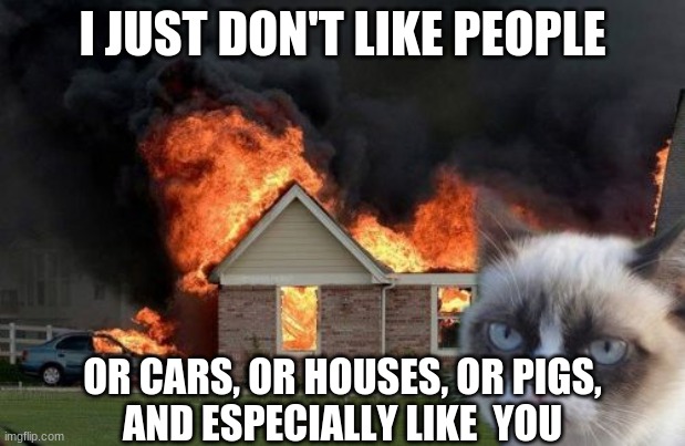 Burn! | I JUST DON'T LIKE PEOPLE; OR CARS, OR HOUSES, OR PIGS,
AND ESPECIALLY LIKE  YOU | image tagged in memes,burn kitty,grumpy cat | made w/ Imgflip meme maker