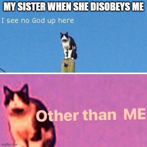 Hail pole cat | MY SISTER WHEN SHE DISOBEYS ME | image tagged in hail pole cat | made w/ Imgflip meme maker