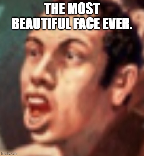 Beautiful face | THE MOST BEAUTIFUL FACE EVER. | image tagged in face,painting | made w/ Imgflip meme maker