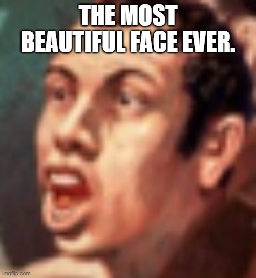 Handsome face Meme Generator - Imgflip