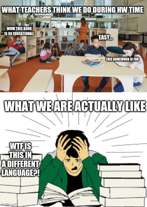 Teachers really overestimate us | WHAT TEACHERS THINK WE DO DURING HW TIME; WOW THIS BOOK IS SO EDUCATIONAL! EASY... THIS HOMEWORK IS FUN; WHAT WE ARE ACTUALLY LIKE; WTF IS THIS IN A DIFFERENT LANGUAGE?! | image tagged in stressed out | made w/ Imgflip meme maker