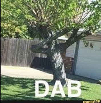 High Quality Dabbing tree Blank Meme Template