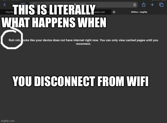 RUH ROH | THIS IS LITERALLY WHAT HAPPENS WHEN; YOU DISCONNECT FROM WIFI | image tagged in scooby doo,wifi drops,meme,funny,super troopers | made w/ Imgflip meme maker