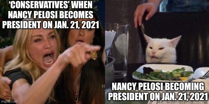 ‘Conservatives’ outhinking themselves | ‘CONSERVATIVES’ WHEN NANCY PELOSI BECOMES PRESIDENT ON JAN. 21, 2021; NANCY PELOSI BECOMING PRESIDENT ON JAN. 21, 2021 | image tagged in woman screaming at cat,nancy pelosi,election 2020,conservatives | made w/ Imgflip meme maker