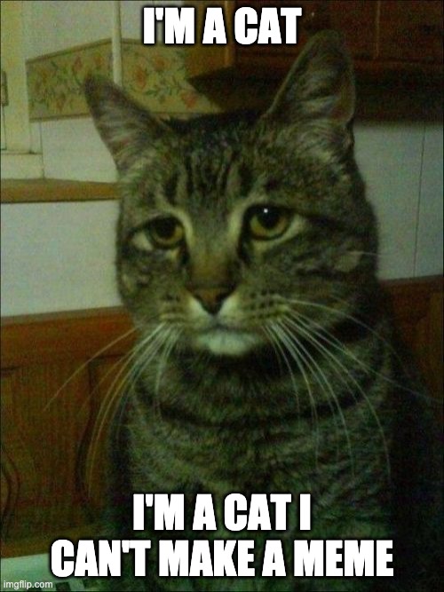 Depressed Cat Meme | I'M A CAT; I'M A CAT I CAN'T MAKE A MEME | image tagged in memes,depressed cat | made w/ Imgflip meme maker