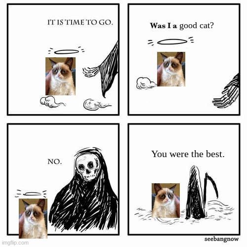 She was the best cat | good cat? You were the best. | image tagged in it is time to go,rip grumpy cat,grumpy cat | made w/ Imgflip meme maker