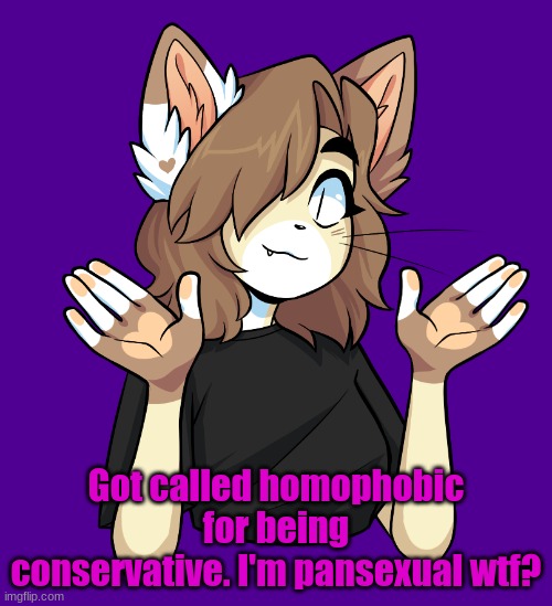 Like seriously wtf | Got called homophobic for being conservative. I'm pansexual wtf? | made w/ Imgflip meme maker