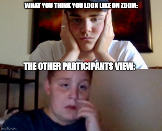 Zoom be like | WHAT YOU THINK YOU LOOK LIKE ON ZOOM:; THE OTHER PARTICIPANTS VIEW: | image tagged in zoom | made w/ Imgflip meme maker