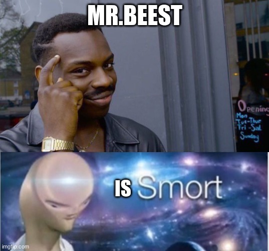 MR.BEEST IS | image tagged in memes,roll safe think about it,meme man smort | made w/ Imgflip meme maker