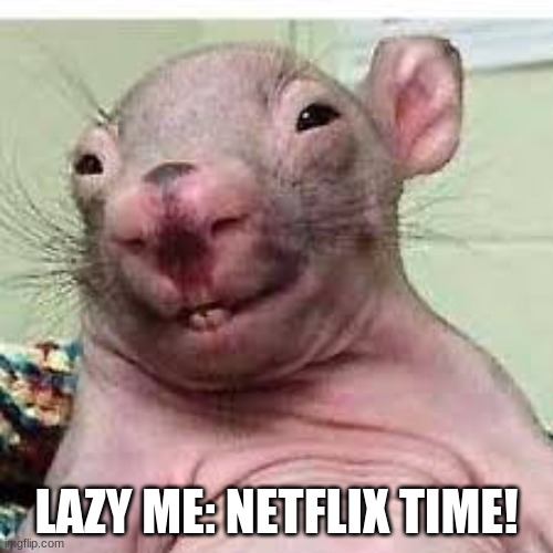 True fax... | LAZY ME: NETFLIX TIME! | image tagged in funny memes,that would be great | made w/ Imgflip meme maker