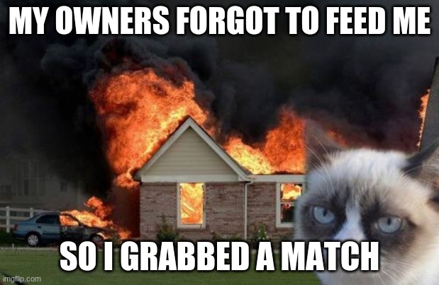 Burn Kitty | MY OWNERS FORGOT TO FEED ME; SO I GRABBED A MATCH | image tagged in memes,burn kitty,grumpy cat | made w/ Imgflip meme maker