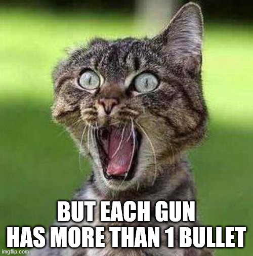 Shocked Cat | BUT EACH GUN HAS MORE THAN 1 BULLET | image tagged in shocked cat | made w/ Imgflip meme maker