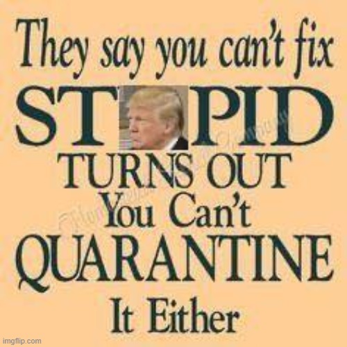 wel they almost got it right u cant quarantine AEWSOME maga | image tagged in trump you can't fix stupid,stupid,trump is a moron,donald trump is an idiot,quarantine,repost | made w/ Imgflip meme maker