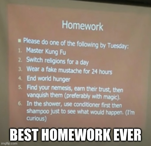 id try the 3rd | BEST HOMEWORK EVER | made w/ Imgflip meme maker