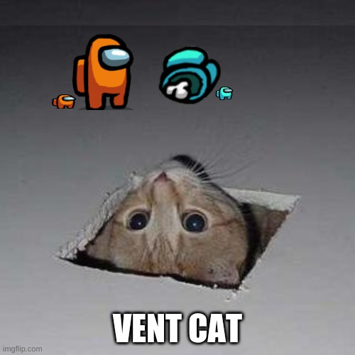 Ceiling Cat Meme | VENT CAT | image tagged in memes,ceiling cat | made w/ Imgflip meme maker