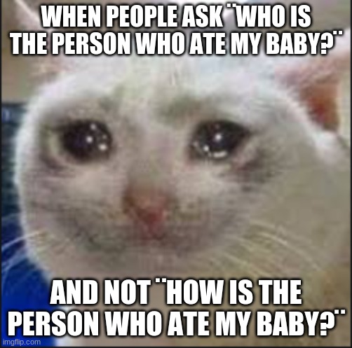 Its like they dont even care | WHEN PEOPLE ASK ¨WHO IS THE PERSON WHO ATE MY BABY?¨; AND NOT ¨HOW IS THE PERSON WHO ATE MY BABY?¨ | image tagged in lifeishard,ketchup | made w/ Imgflip meme maker