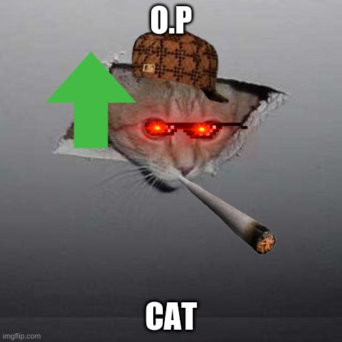 Ceiling Cat Meme | O.P; CAT | image tagged in memes,ceiling cat | made w/ Imgflip meme maker