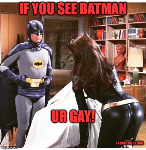See the Bat | IF YOU SEE BATMAN; UR GAY! AARDVARK RATNIK | image tagged in batman,gay,funny memes | made w/ Imgflip meme maker