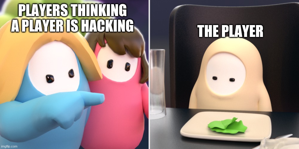 Hacker Boi | THE PLAYER; PLAYERS THINKING A PLAYER IS HACKING | image tagged in fall guys meme | made w/ Imgflip meme maker