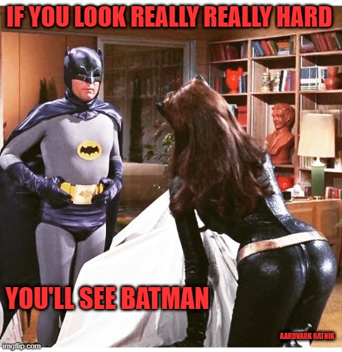 Catwoman | IF YOU LOOK REALLY REALLY HARD; YOU'LL SEE BATMAN; AARDVARK RATNIK | image tagged in funny memes,batman | made w/ Imgflip meme maker