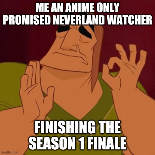 Me | ME AN ANIME ONLY PROMISED NEVERLAND WATCHER; FINISHING THE SEASON 1 FINALE | image tagged in pacha perfect | made w/ Imgflip meme maker
