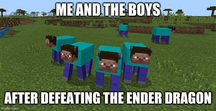 Me and The Boys after the Ender Dragon War | ME AND THE BOYS; AFTER DEFEATING THE ENDER DRAGON | image tagged in me and the boys | made w/ Imgflip meme maker
