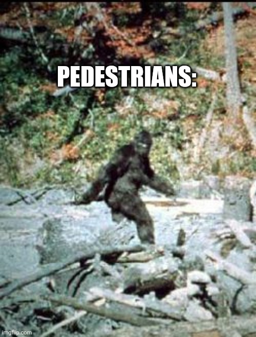 big foot | PEDESTRIANS: | image tagged in big foot | made w/ Imgflip meme maker