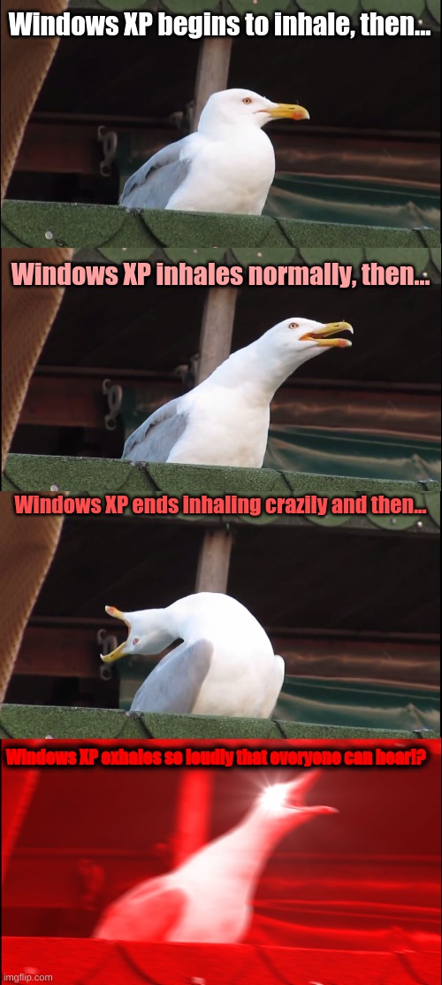 Inhaling XP Seagull ALMOST DIED :O | Windows XP begins to inhale, then... Windows XP inhales normally, then... Windows XP ends inhaling crazily and then... Windows XP exhales so loudly that everyone can hear!? | image tagged in memes,inhaling seagull,windows xp | made w/ Imgflip meme maker