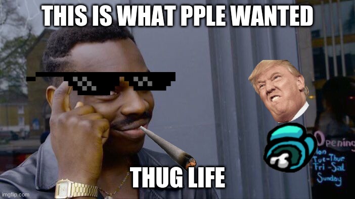 Haha | THIS IS WHAT PPLE WANTED; THUG LIFE | image tagged in memes,roll safe think about it | made w/ Imgflip meme maker