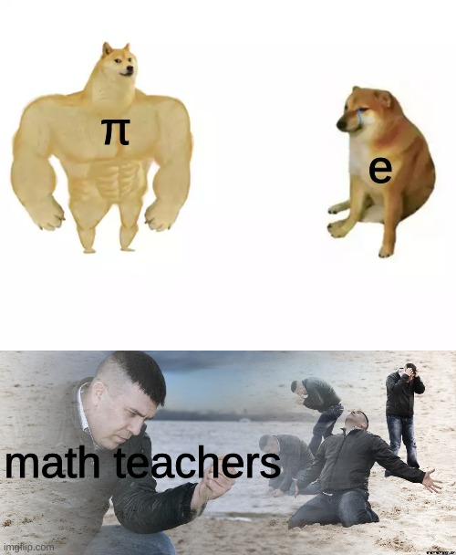 math meme | e; π; math teachers | image tagged in guy with sand in the hands of despair,buff doge vs cheems | made w/ Imgflip meme maker